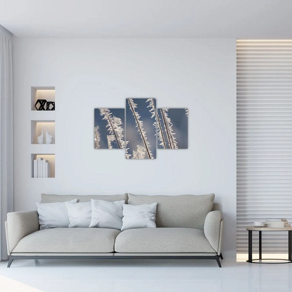 Tablou - Îngheț (90x60 cm)