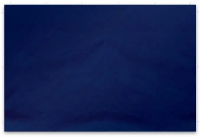 Set de 2 pereți laterali pentru cort de grădină PROFI 3 x 3 m - albastru