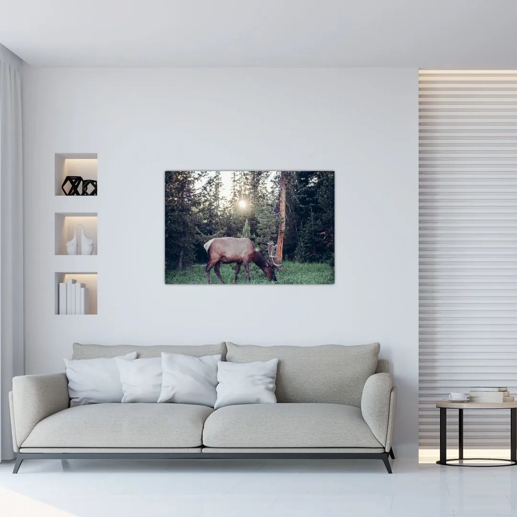 Tablou - Elan în poiană (90x60 cm)