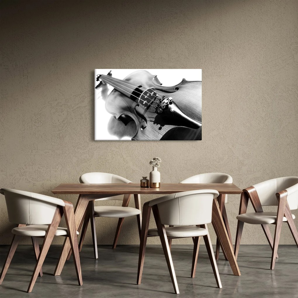 Tablou - Vioară (90x60 cm)