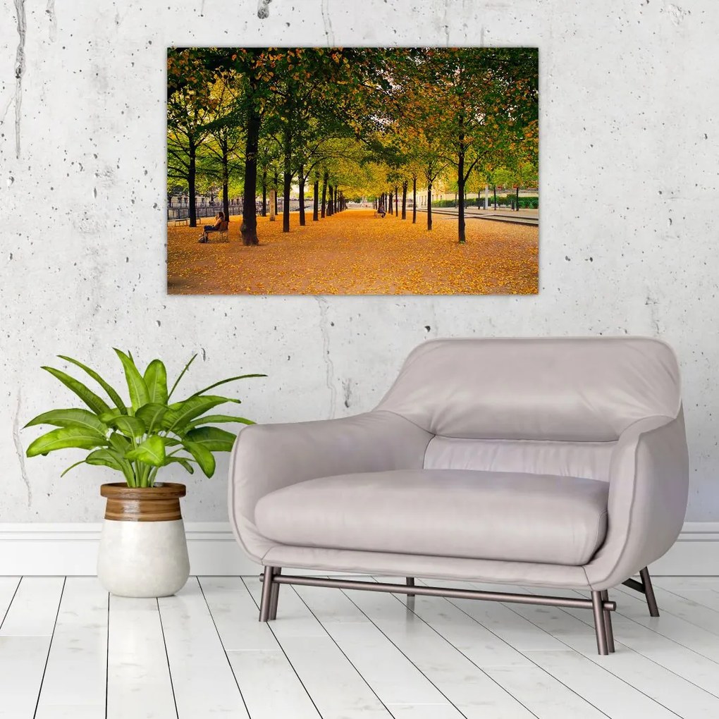 Tablou cu alee cu copaci în toamnă (90x60 cm)