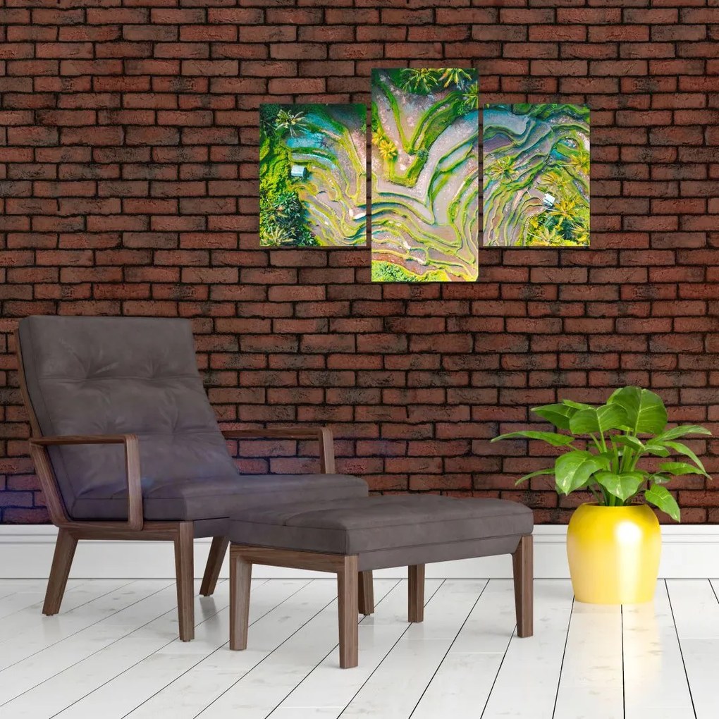 Tablou cu lanuri de orez din privire de sus (90x60 cm)