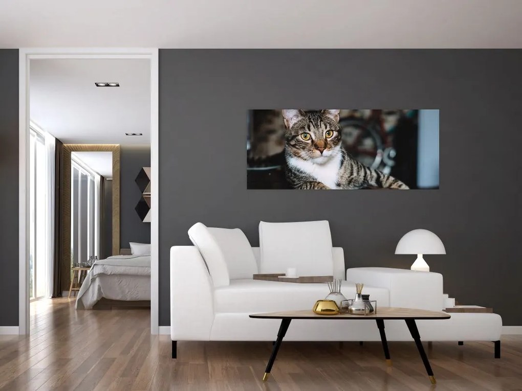 Tablou cu pisica (120x50 cm)