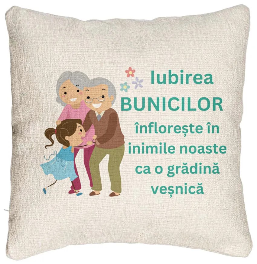 Perna Decorativa Canapea pentru Bunici 6, 40x40 cm, Cu fermoar