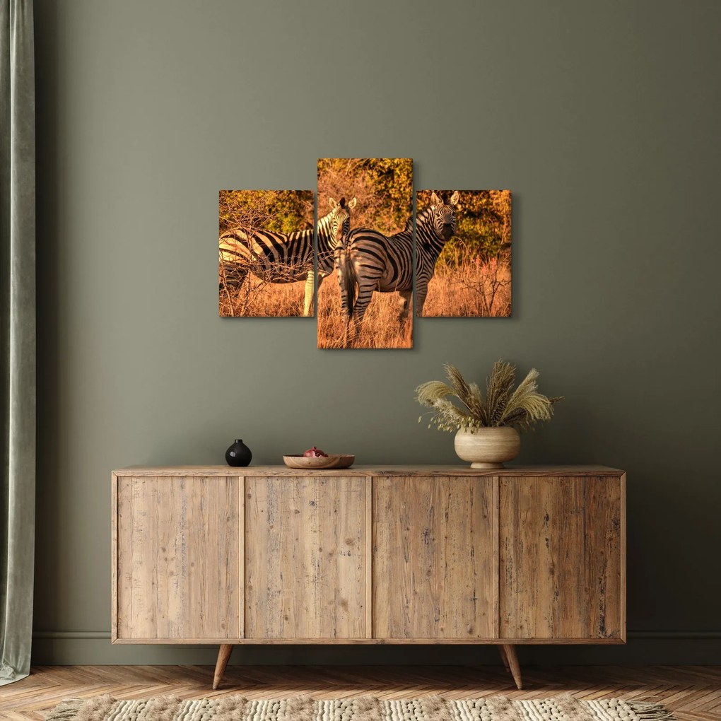 Tablou cu zebre (90x60 cm)