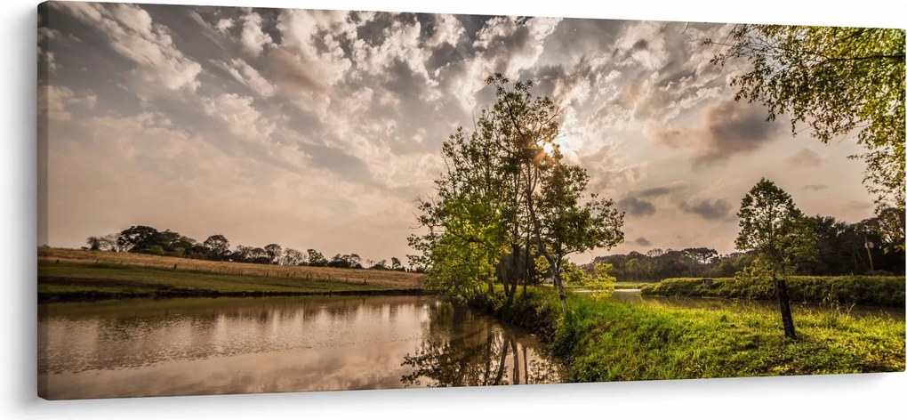 Tablou naturii cu raze de soae (120x50 cm)