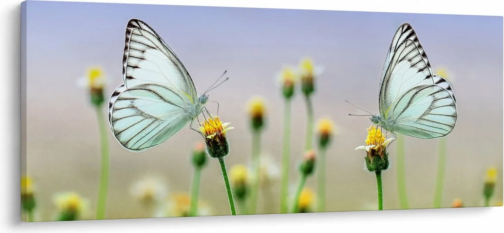 Tablou cu fluture pe floare (120x50 cm)