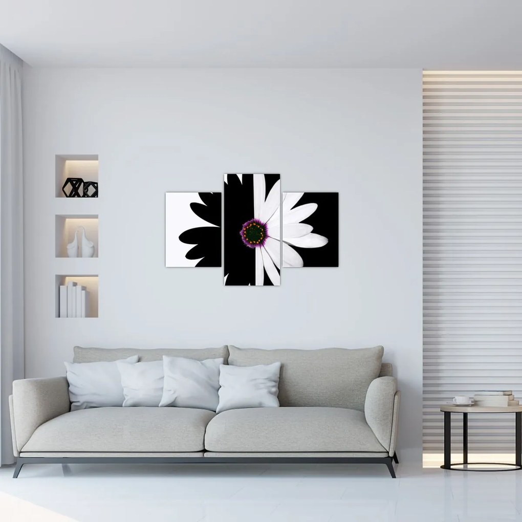 Tablou - Floare, alb- negru (90x60 cm)