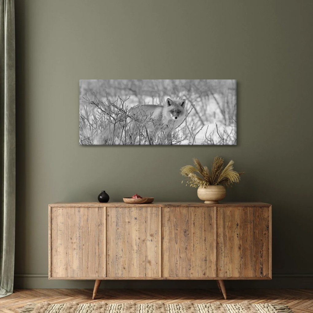 Tablou - Vulpe,alb-negru (120x50 cm)