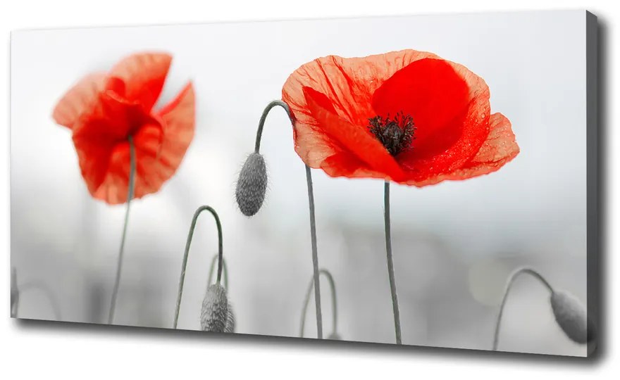 Print pe canvas Maki