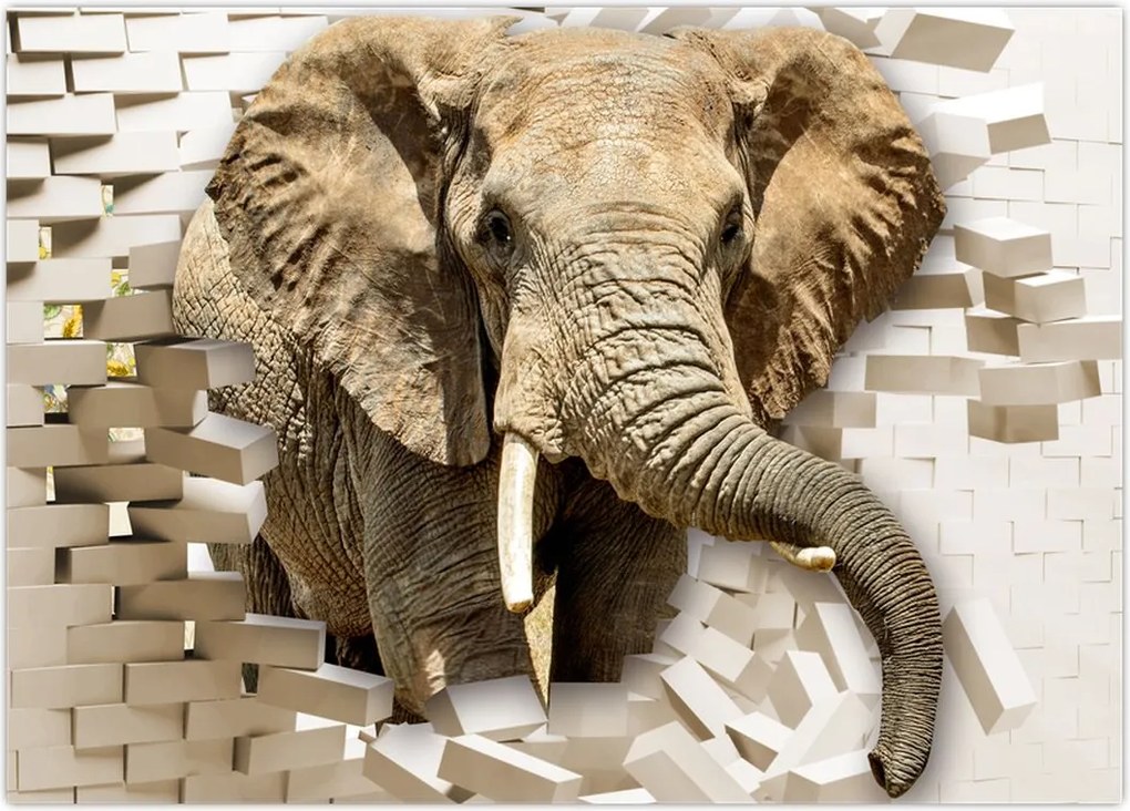 Tablou - Elefant spârgând peretele (70x50 cm)