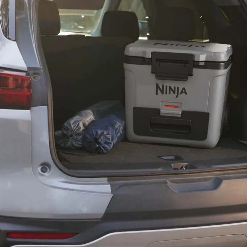 Lada frigorifica Ninja FrostVault FB230EUGY, 28 l, Pasiva, 48 doze, Pastreaza gheata pana la 5 zile, Compartiment uscat, Roti, Gri