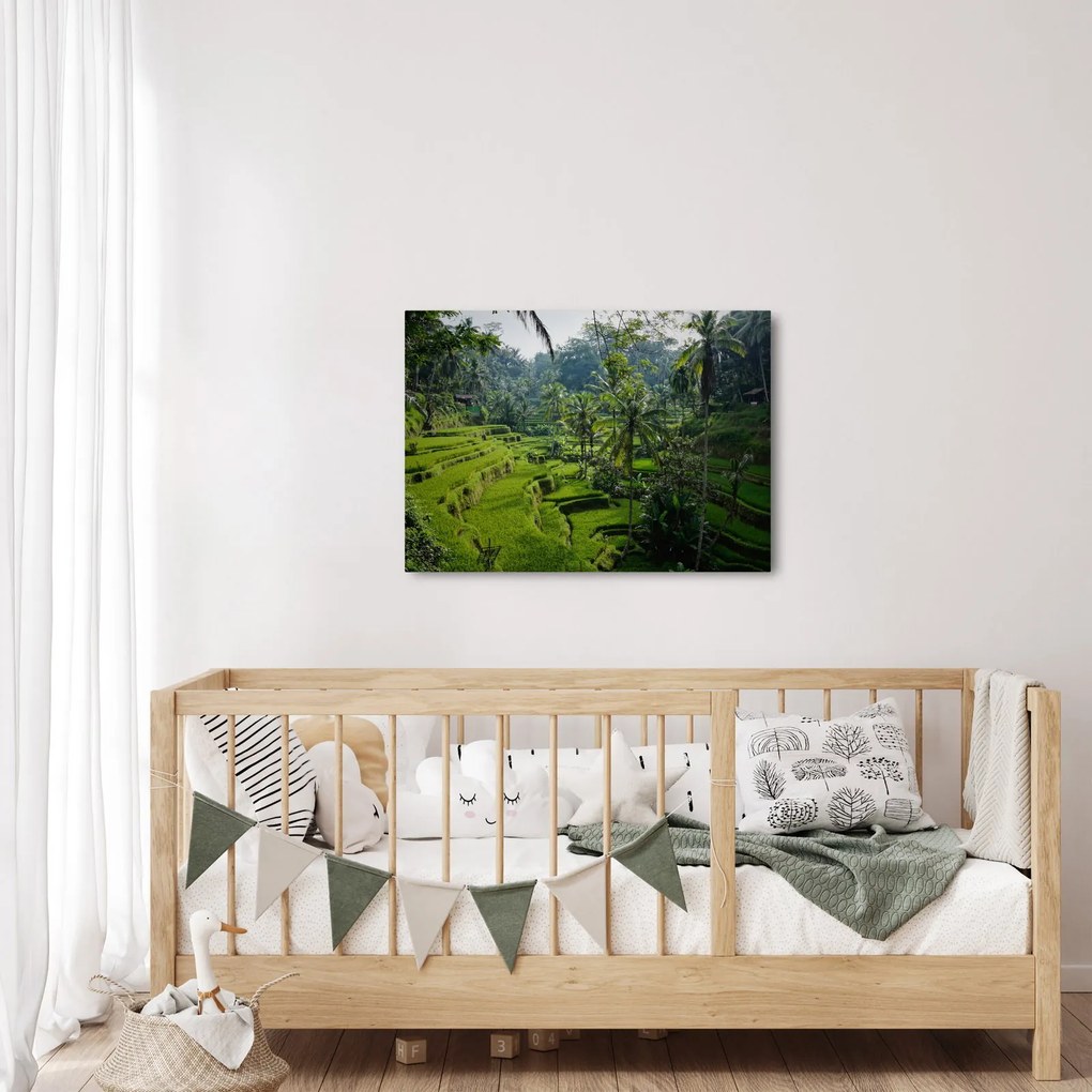 Tablou cu terasele cu orez Tegalalang, Bali (70x50 cm)
