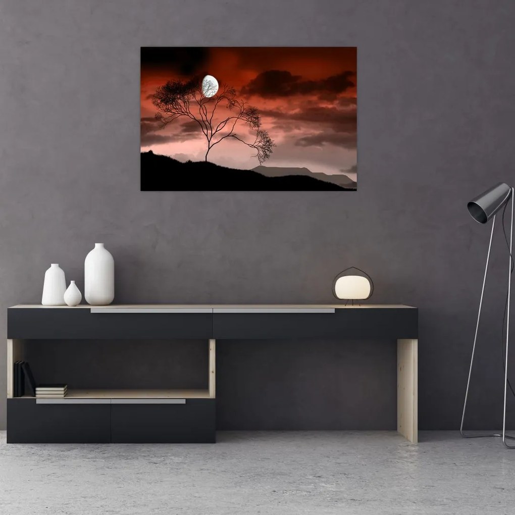 Tablou - Luna luminează noaptea (90x60 cm)