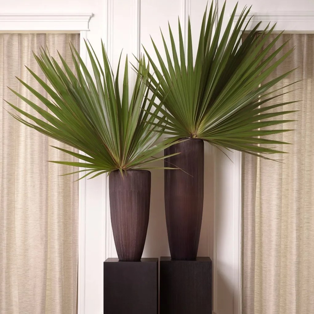 Vaza, Vas decorativ LUX din sticla Isandro L