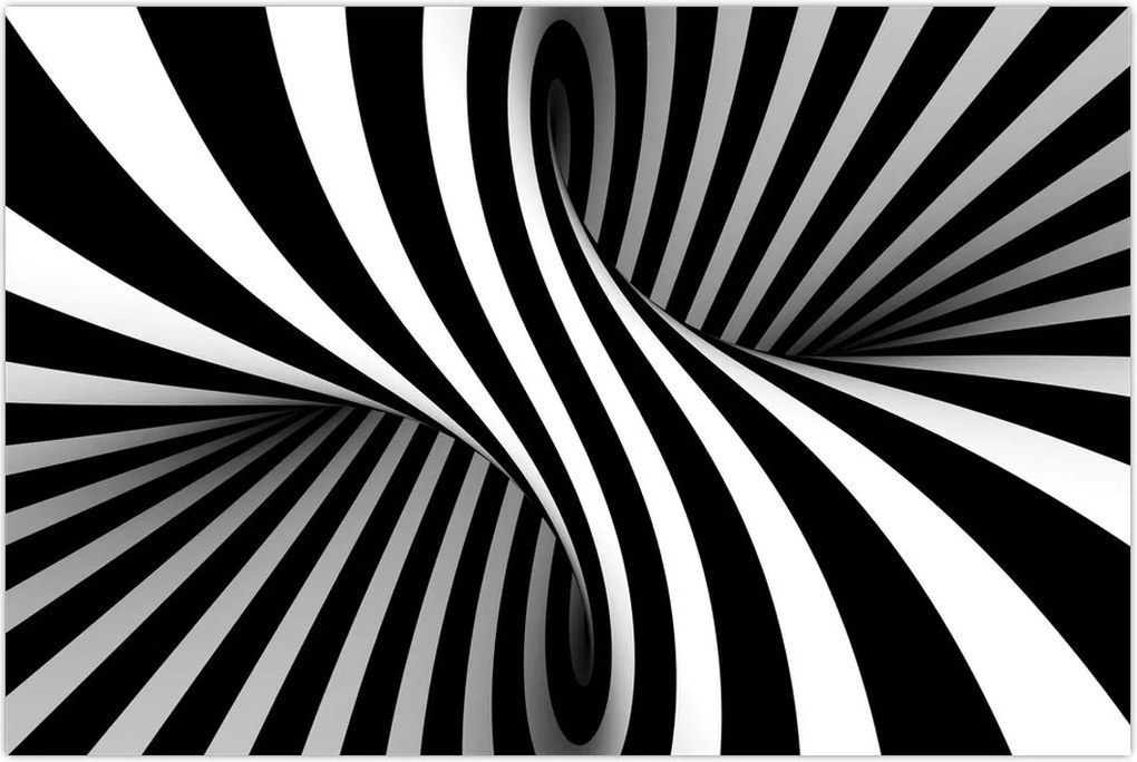 Tablou abstract cu dungi de zebră (90x60 cm)