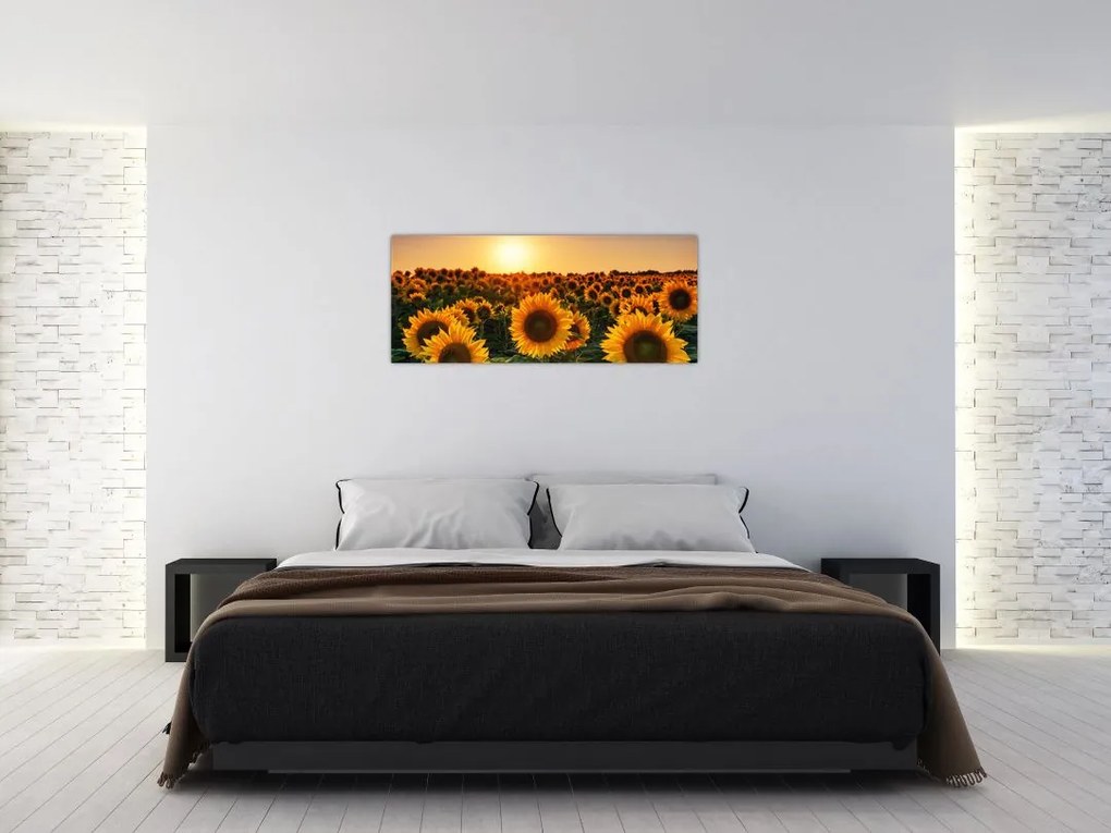 Tablou - Floarea soarelui (120x50 cm)