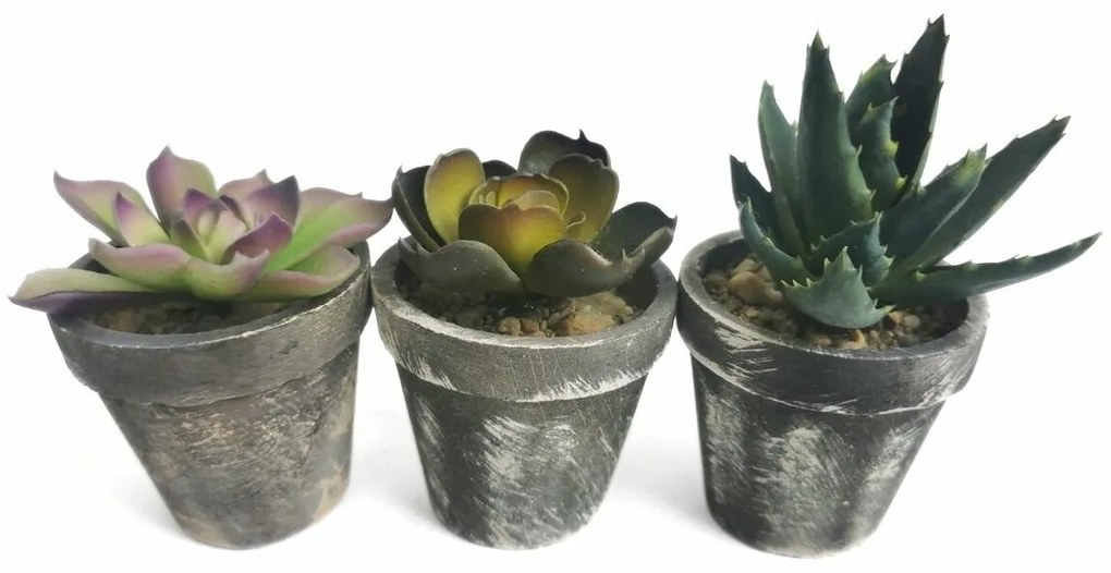 Planta artificială în ghiveci Suculentă, set de 3bucăți