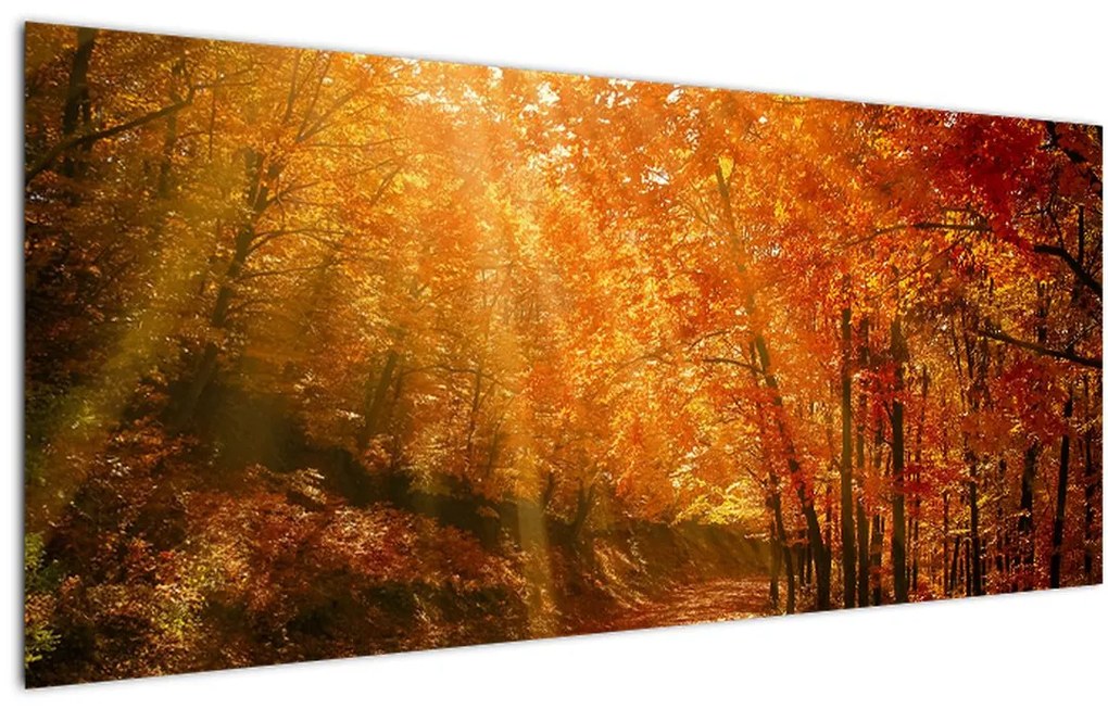 Tablou cu pădurea în toamnă (120x50 cm)