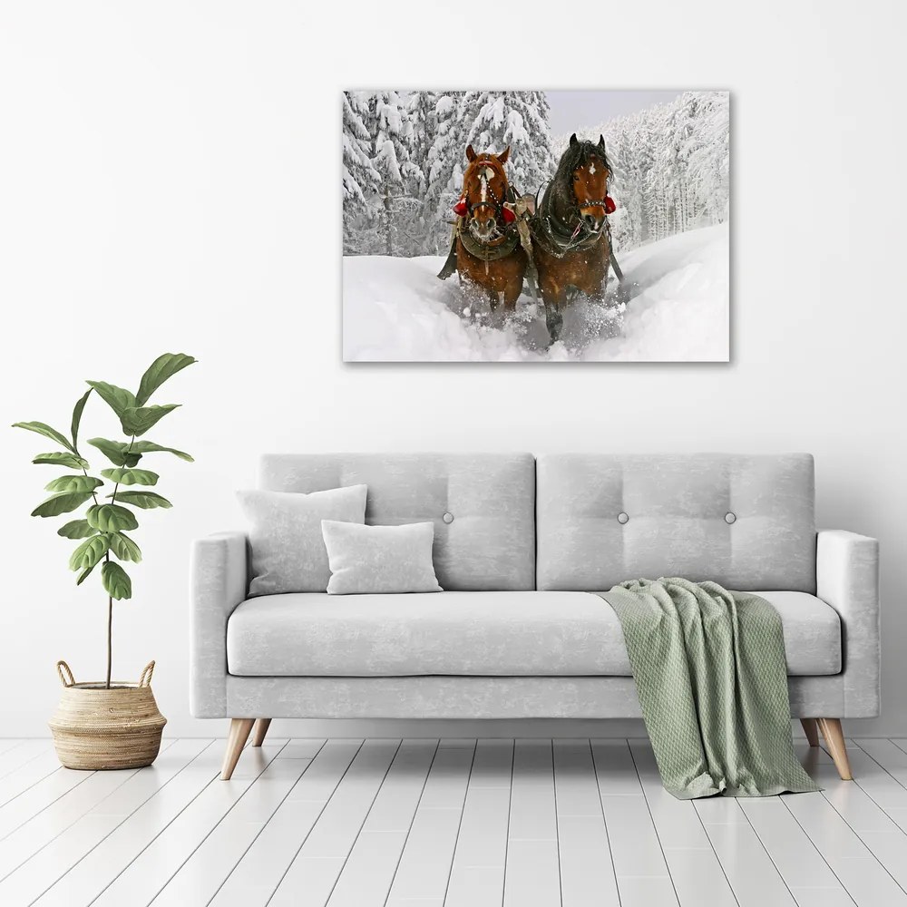Tablou canvas Kulig