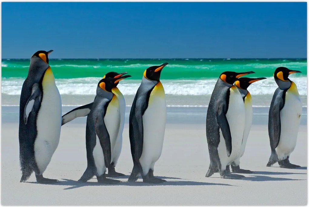 Tablou - Grup de pinguini regali (90x60 cm)