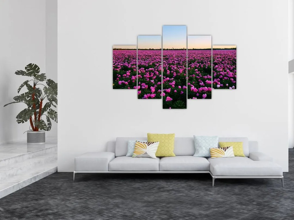 Tablou - Pajiștea cu lalele violet (150x105 cm)
