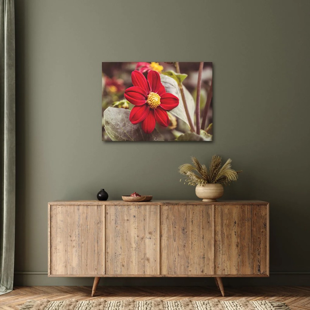 Tablou cu floare (70x50 cm)