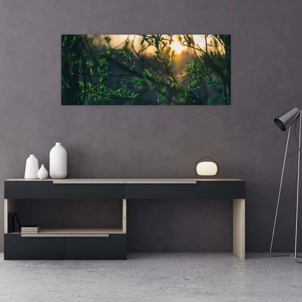 Tablou - Soarele strălucind printre crengile copacilor (120x50 cm)