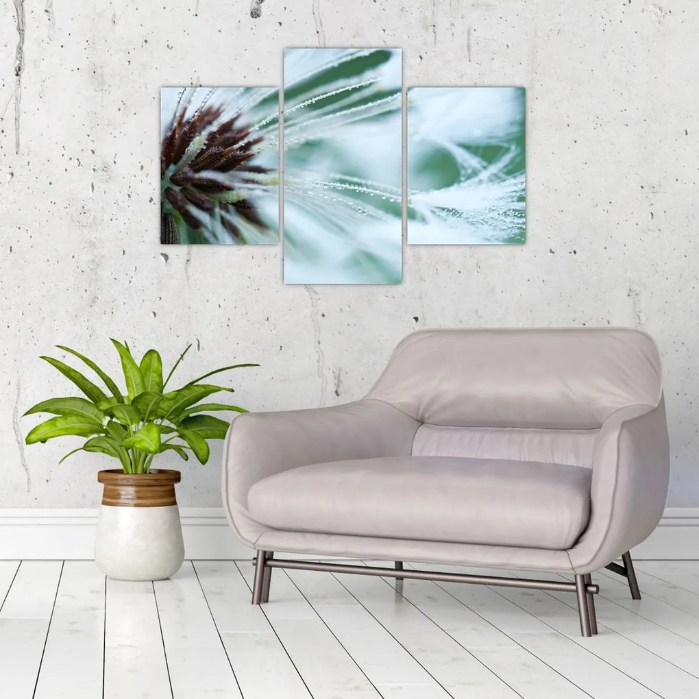 Tablou - Detaliu floare (90x60 cm)