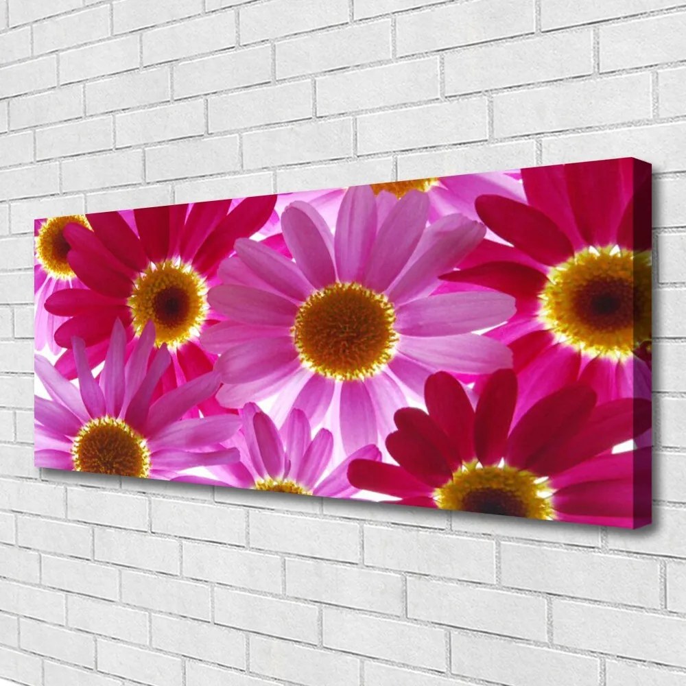 Tablou pe panza canvas Flori Floral galben roz