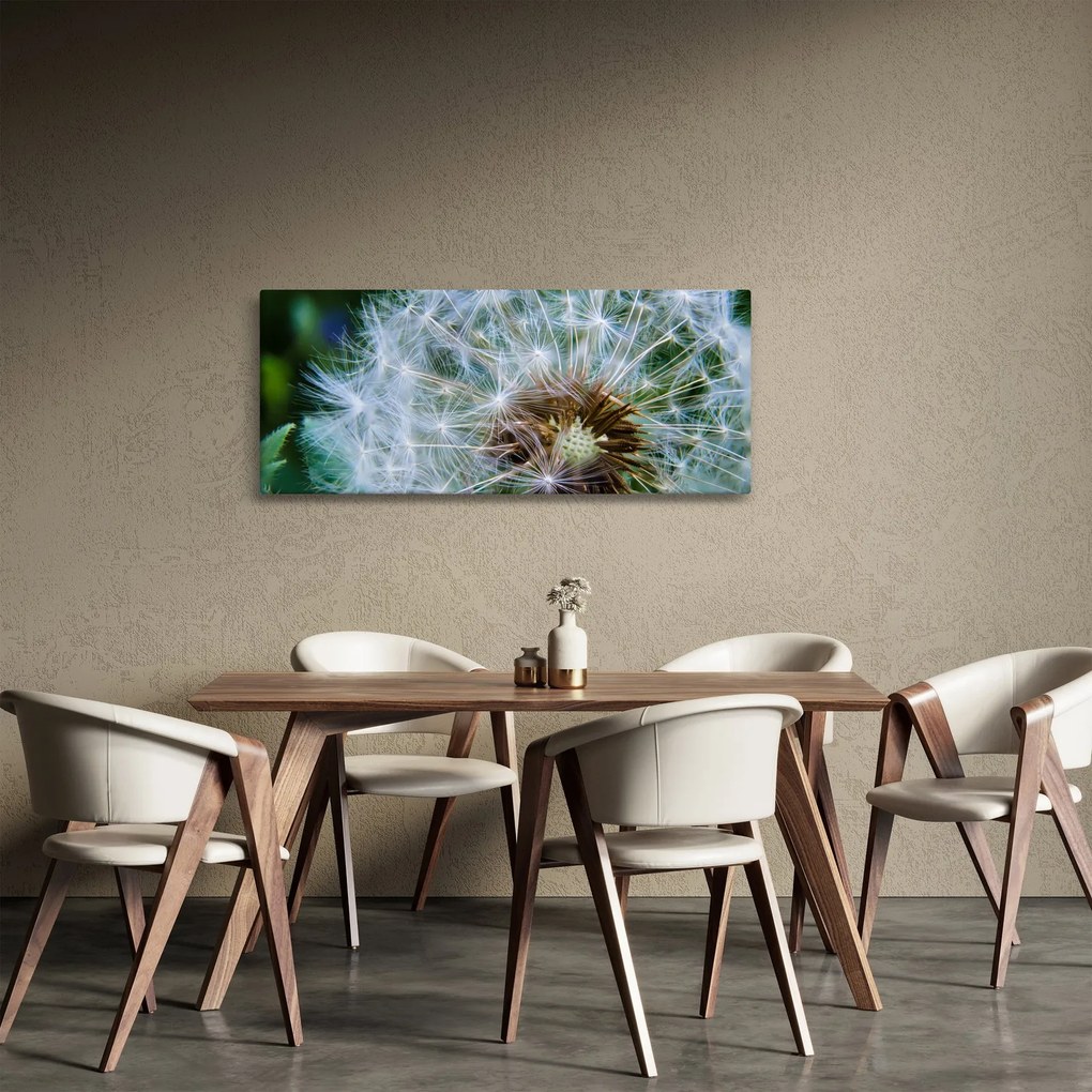 Tabloul cu păpădie desflorit (120x50 cm)