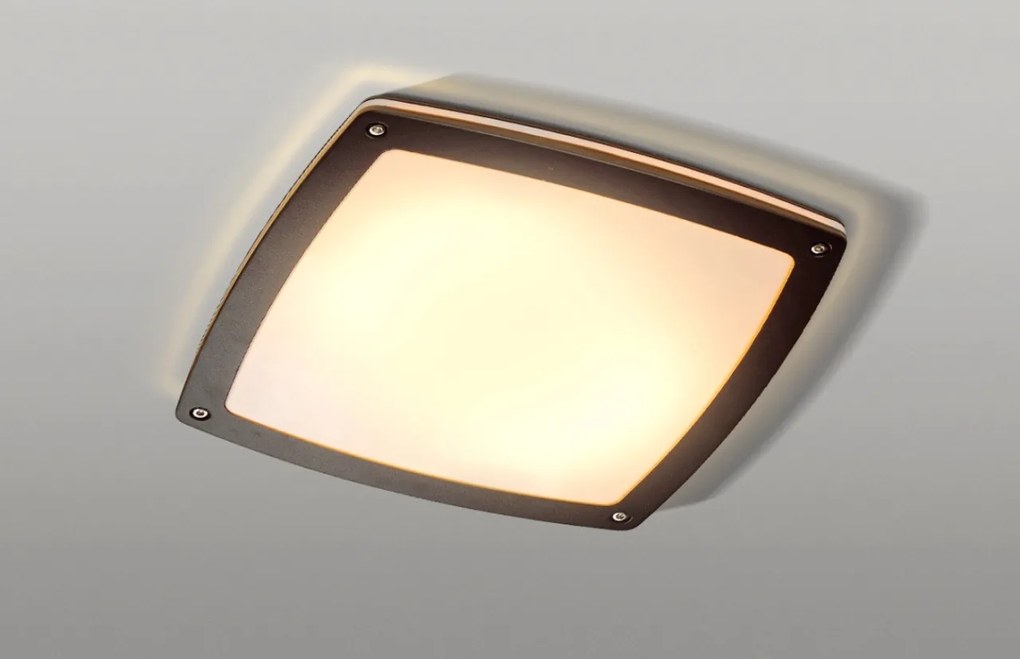 Aplica LED de perete / tavan pentru exterior IP54 FANO S