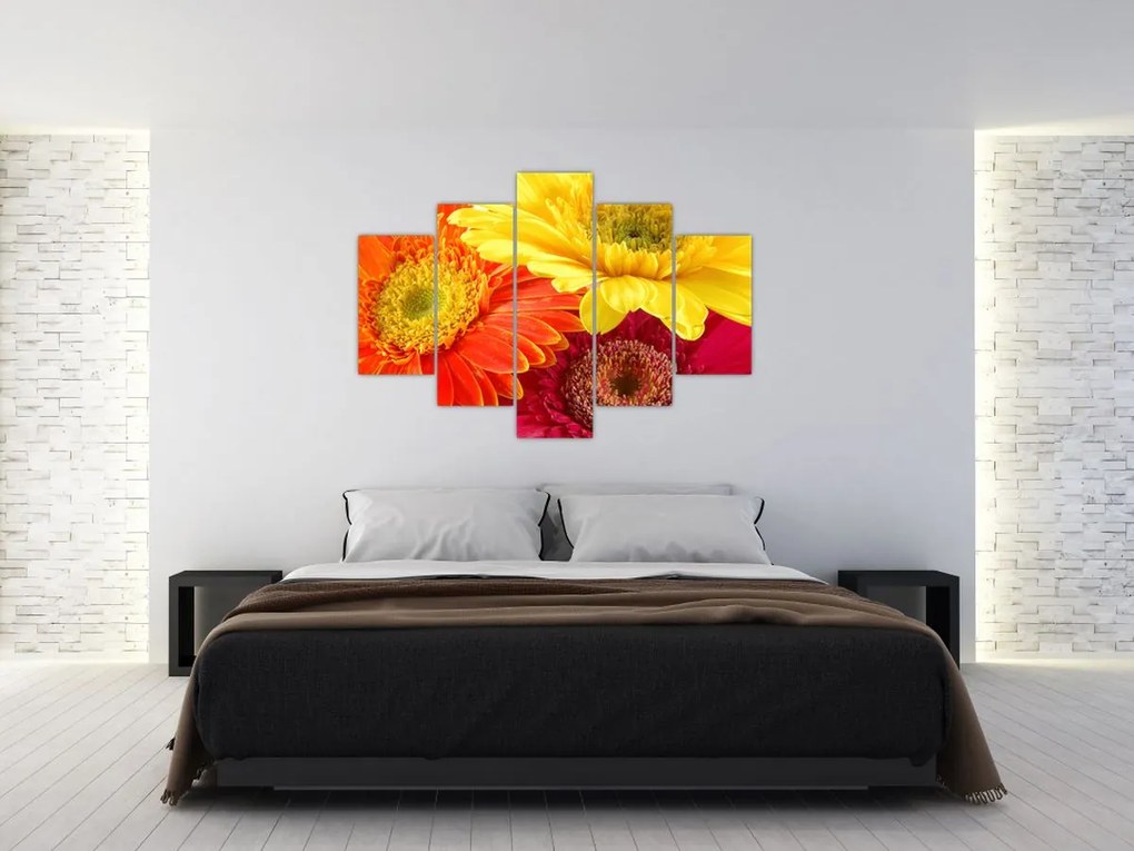 Tablou - Flori Gerbery (150x105 cm)