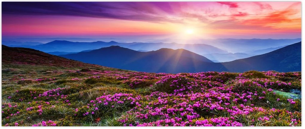 Tablou - Munte înflorit peisaj (120x50 cm)