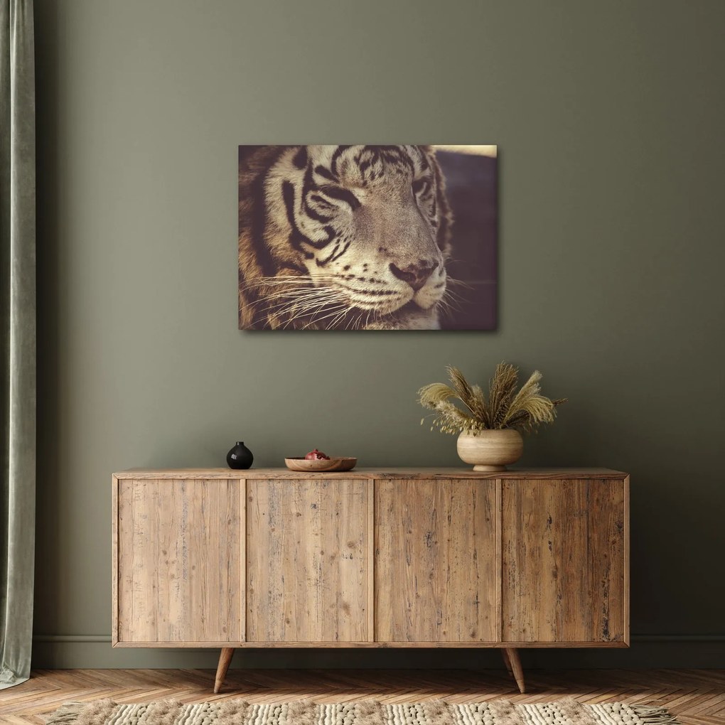 Tablou cu tigrul (70x50 cm)