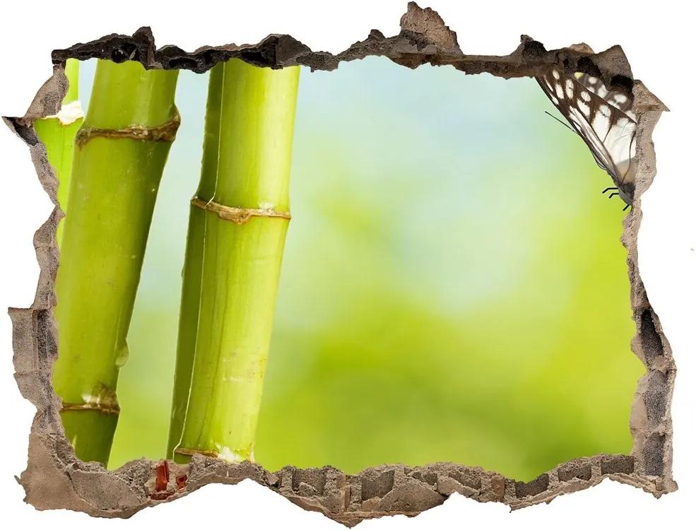Fototapet un zid spart cu priveliște Bambus și fluture