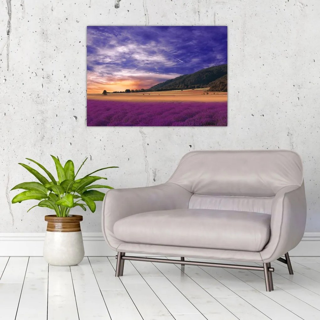 Tablou pe sticlă cu lunca cu lavandă (70x50 cm)