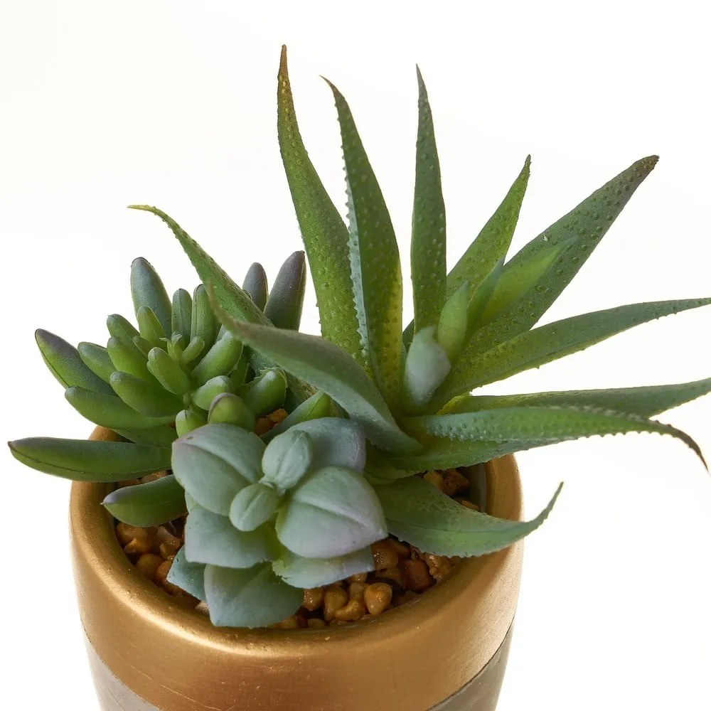 Plante artificiale 4 buc. Cactus – Casa Selección