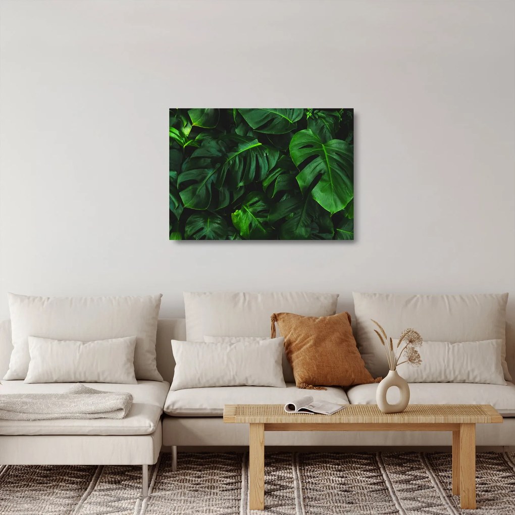 Tablou pe sticlă cu frunze Monstery (70x50 cm)