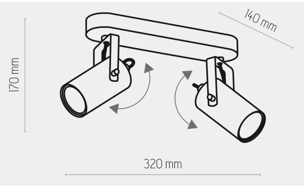 Spot REDO 2xGU10/10W/230V auriu/negru