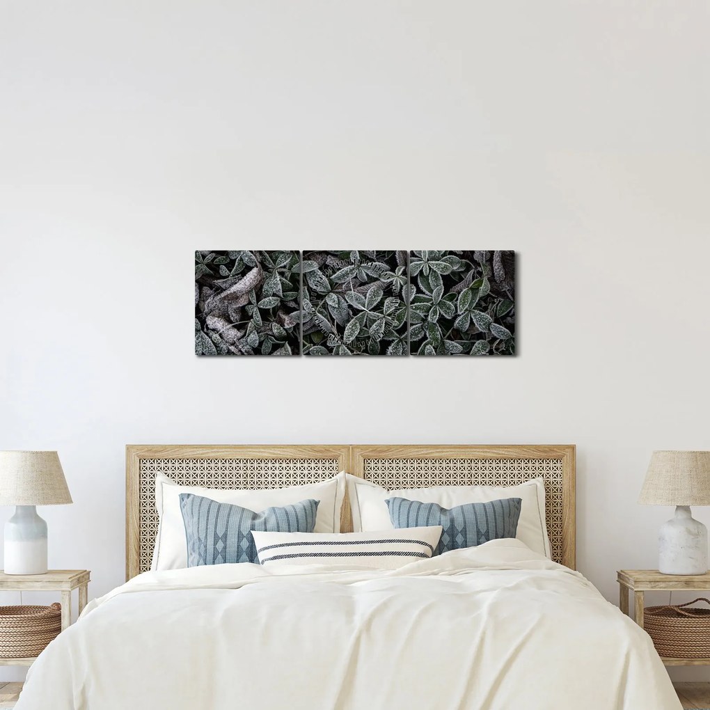 Tablou - Plante înghețate (cu ceas) (90x30 cm)