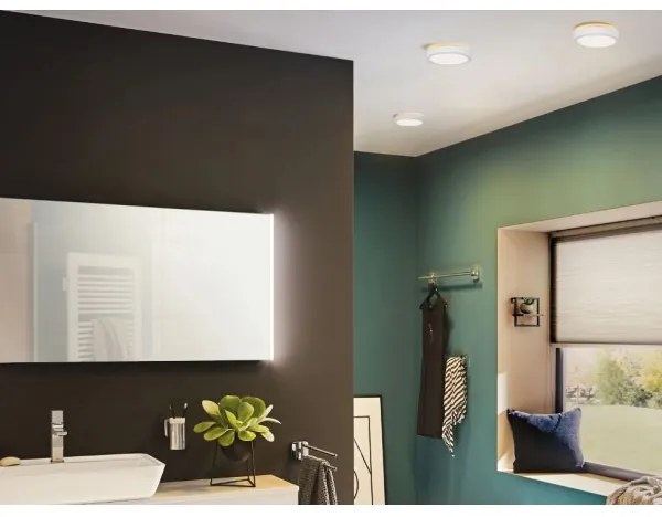 Plafonieră pentru baie LED/13W IP44 AVIAR 230V Paulmann 78923