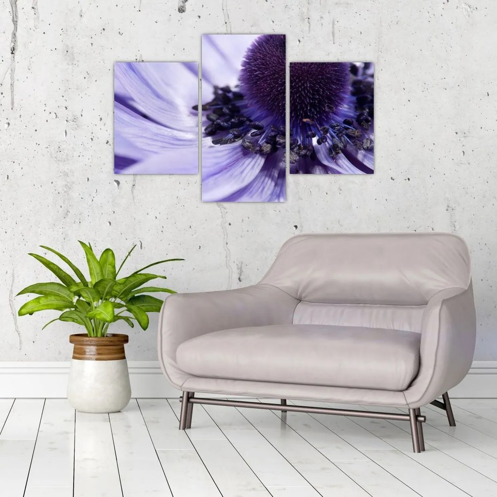 Tablou - Floare mov (90x60 cm)