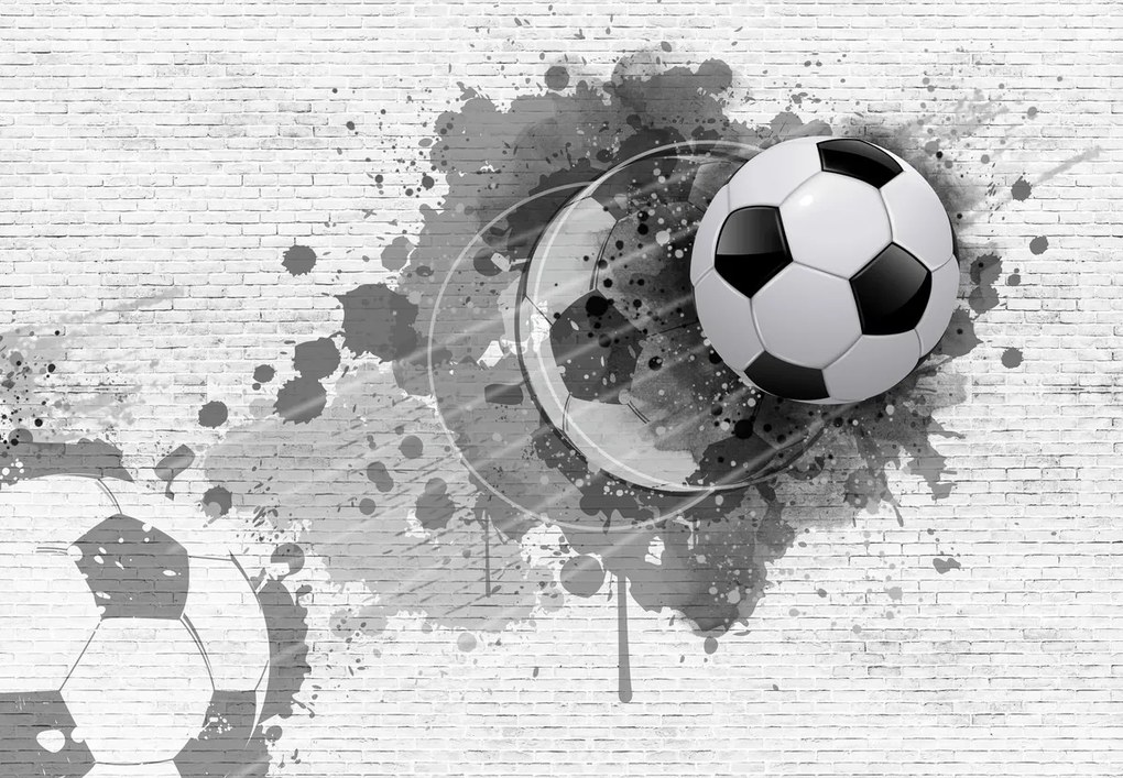 Fototapet - Minge de fotbal (147x102 cm)