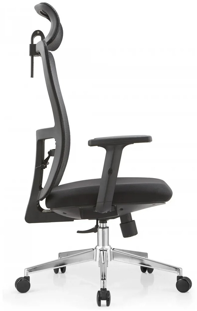 Scaun ergonomic Dana-H, Mesh/Textil, Negru