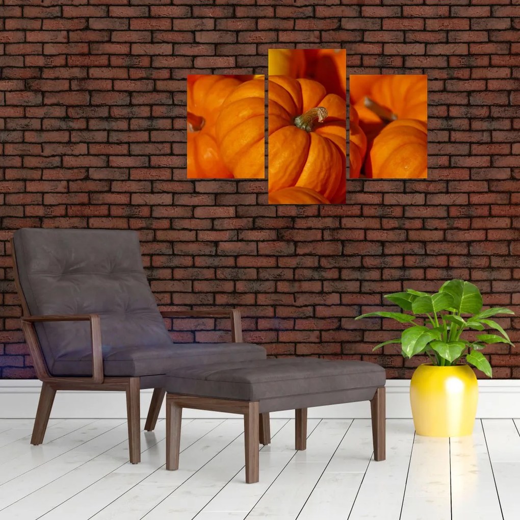 Tablou - Dovleci mari (90x60 cm)