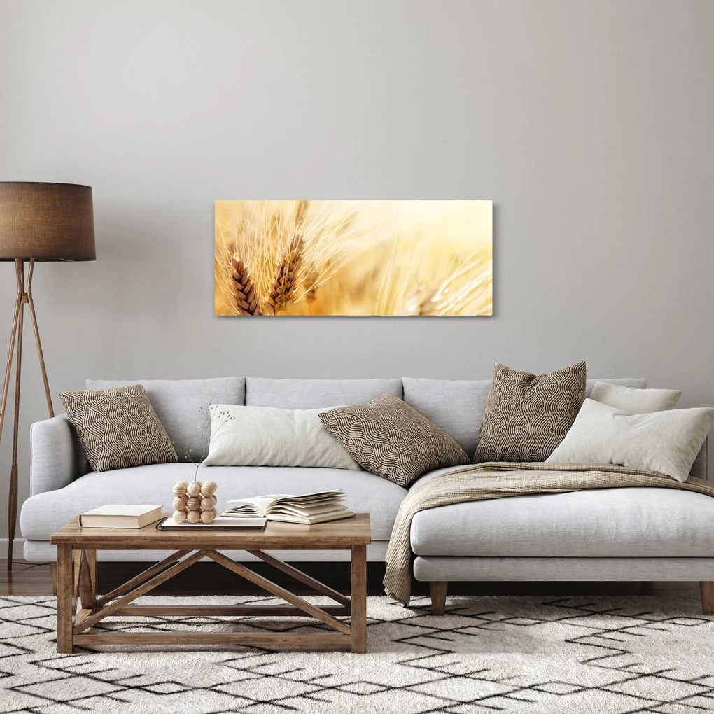 Tablou- detaliu cu (120x50 cm)