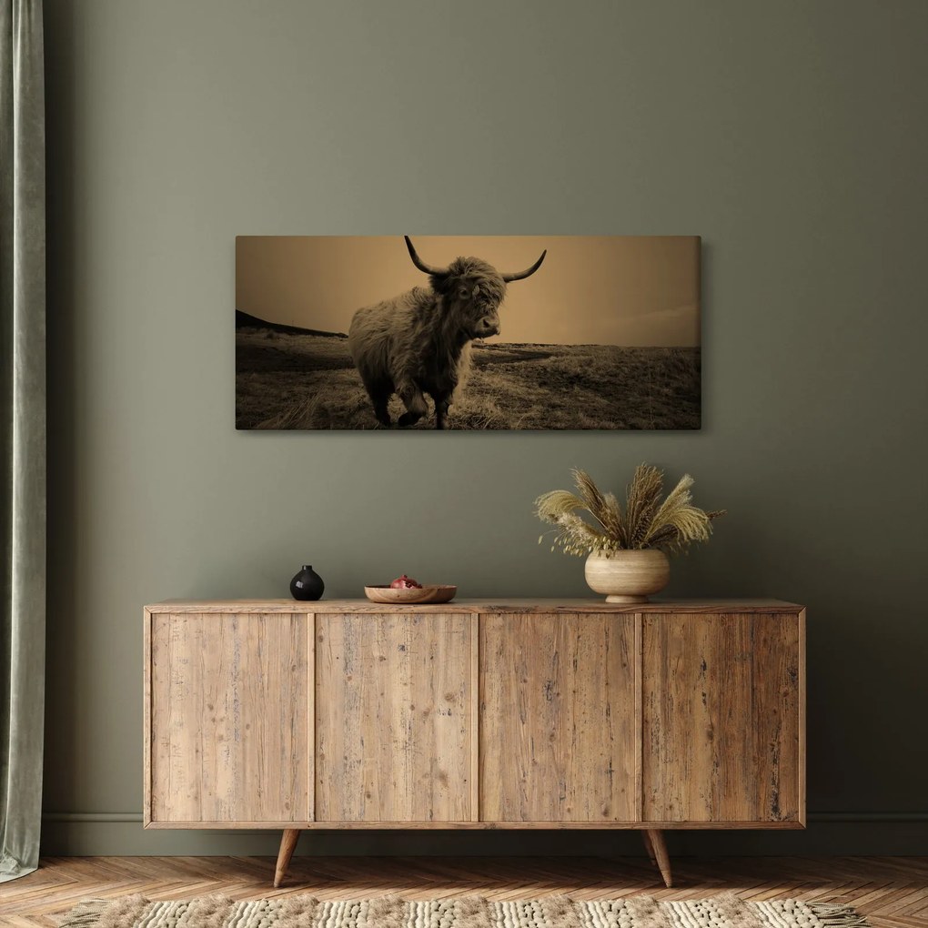 Tablou - Vacă scoțiană pe fugă (120x50 cm)