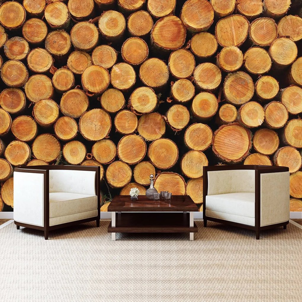 Fototapet - Lemn (152,5x104 cm)