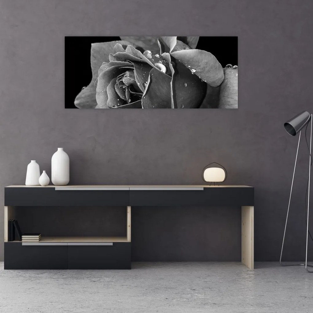 Tablou cu trandafir - albneagră (120x50 cm)